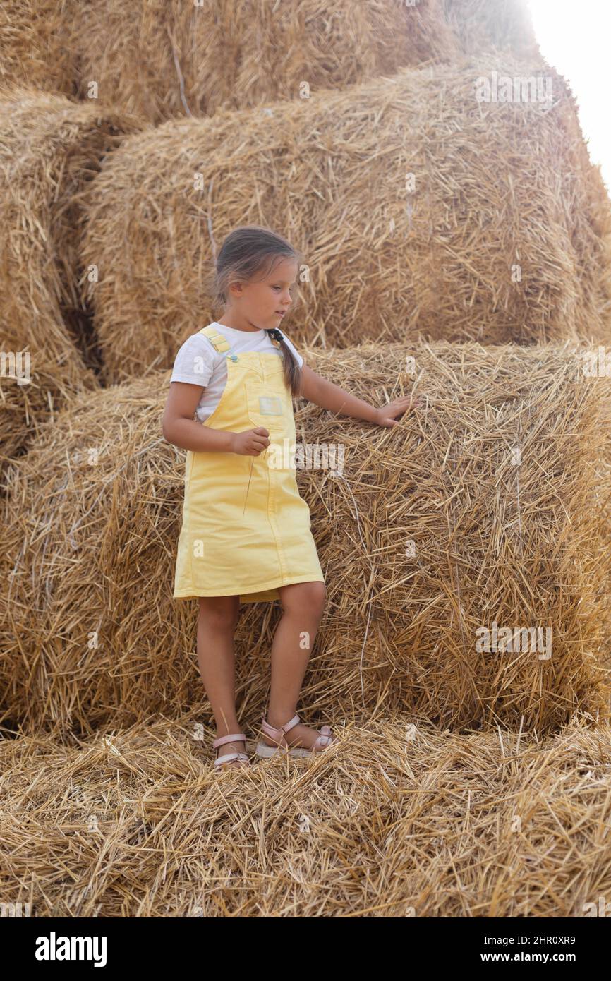 Ritratto di bella giovane femmina capretto in piedi su haystack pensando occhi guardando giù e tenendo fieno in una mano che indossa la Sundress. Divertirsi lontano da Foto Stock