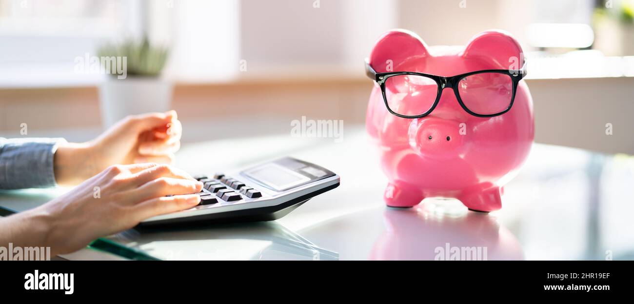 Consulente finanziario con Piggybank. Calcolo del risparmio di denaro Foto Stock