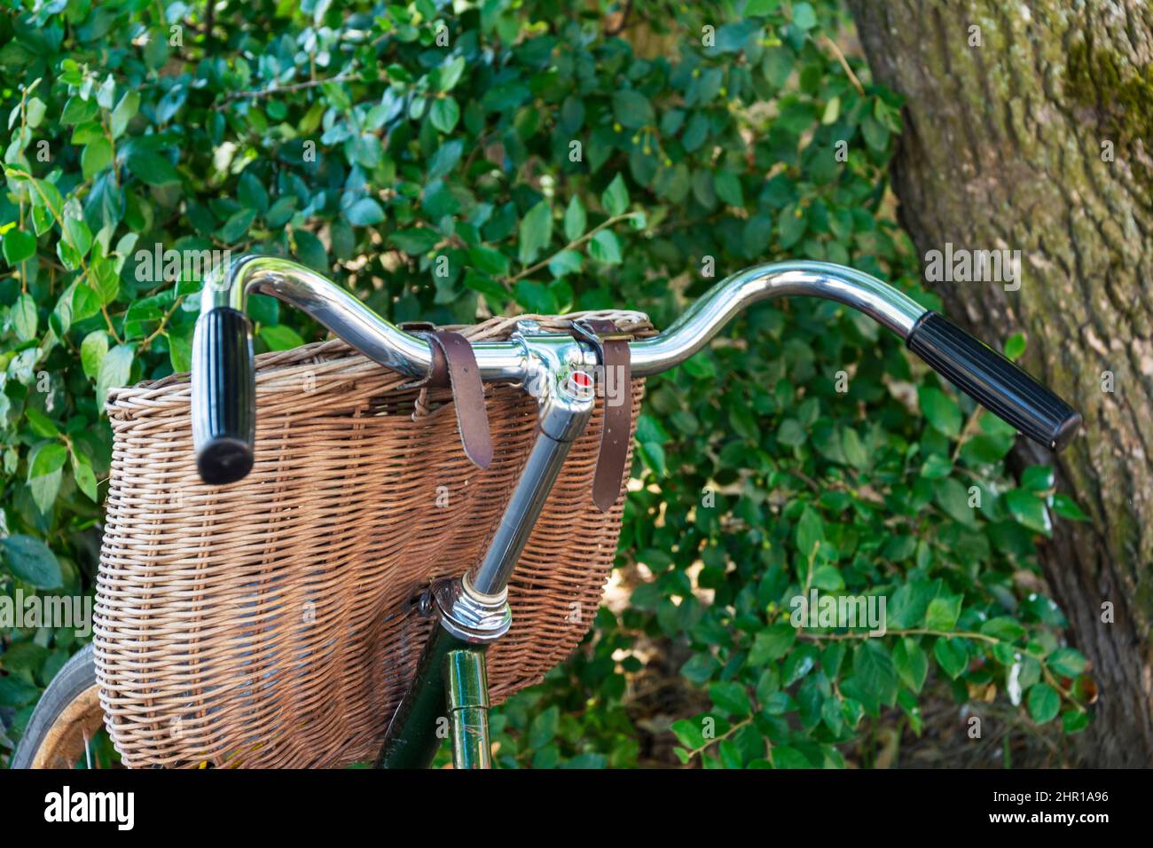 Cestino Bici In Rattan Con Coperchio - Per Manubrio Anteriore - Foto 8