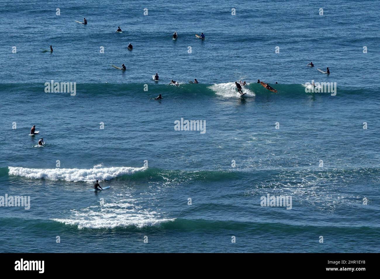 Molti surfisti combattono per le onde al largo della costa di Honolulu, Hawaii. Foto Stock
