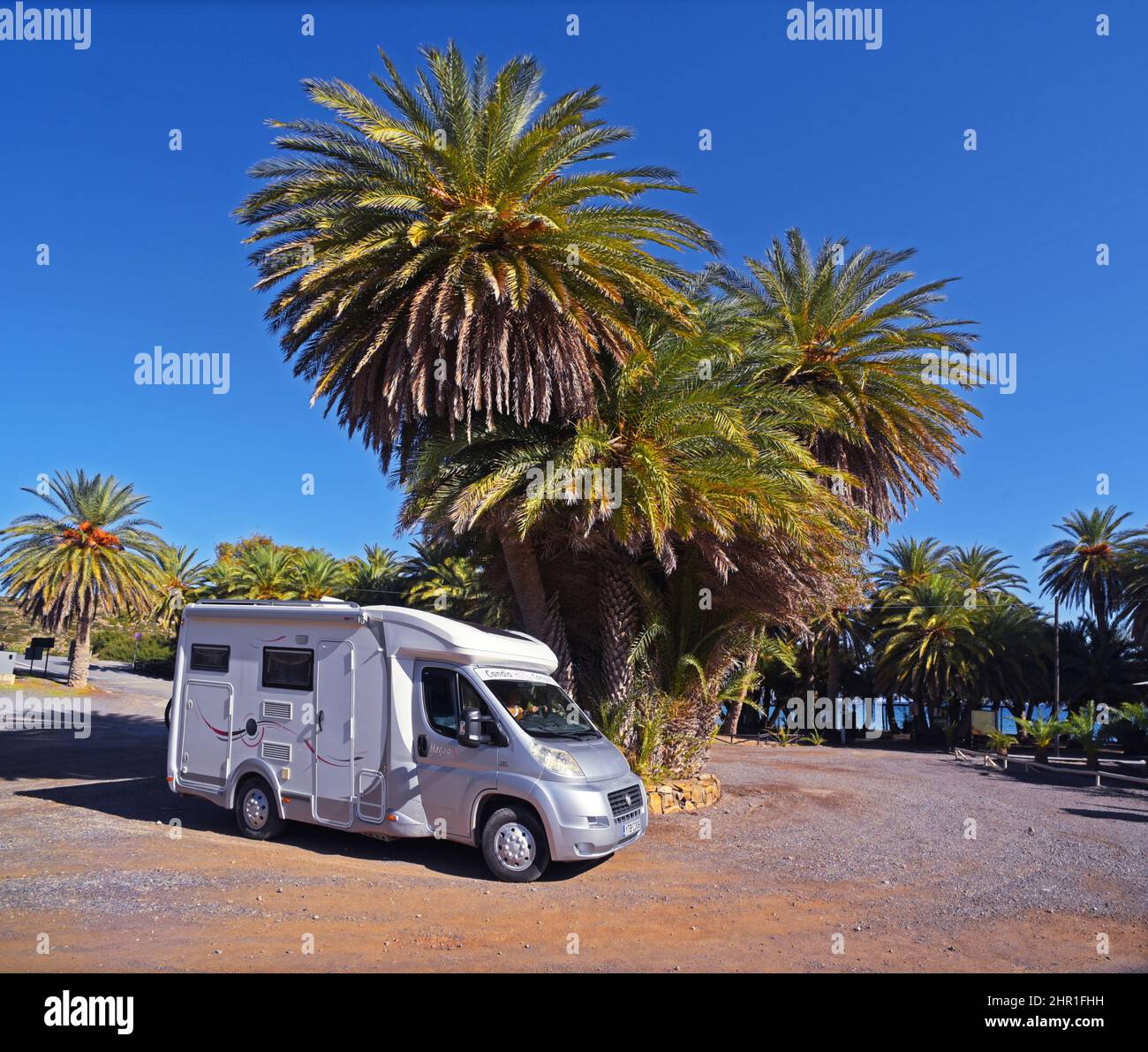 Palma di dattero dell'isola delle Canarie (Phoenix canariensis), auto da campeggio vicino alla palma, Grecia, Creta, Vai-Strand Foto Stock