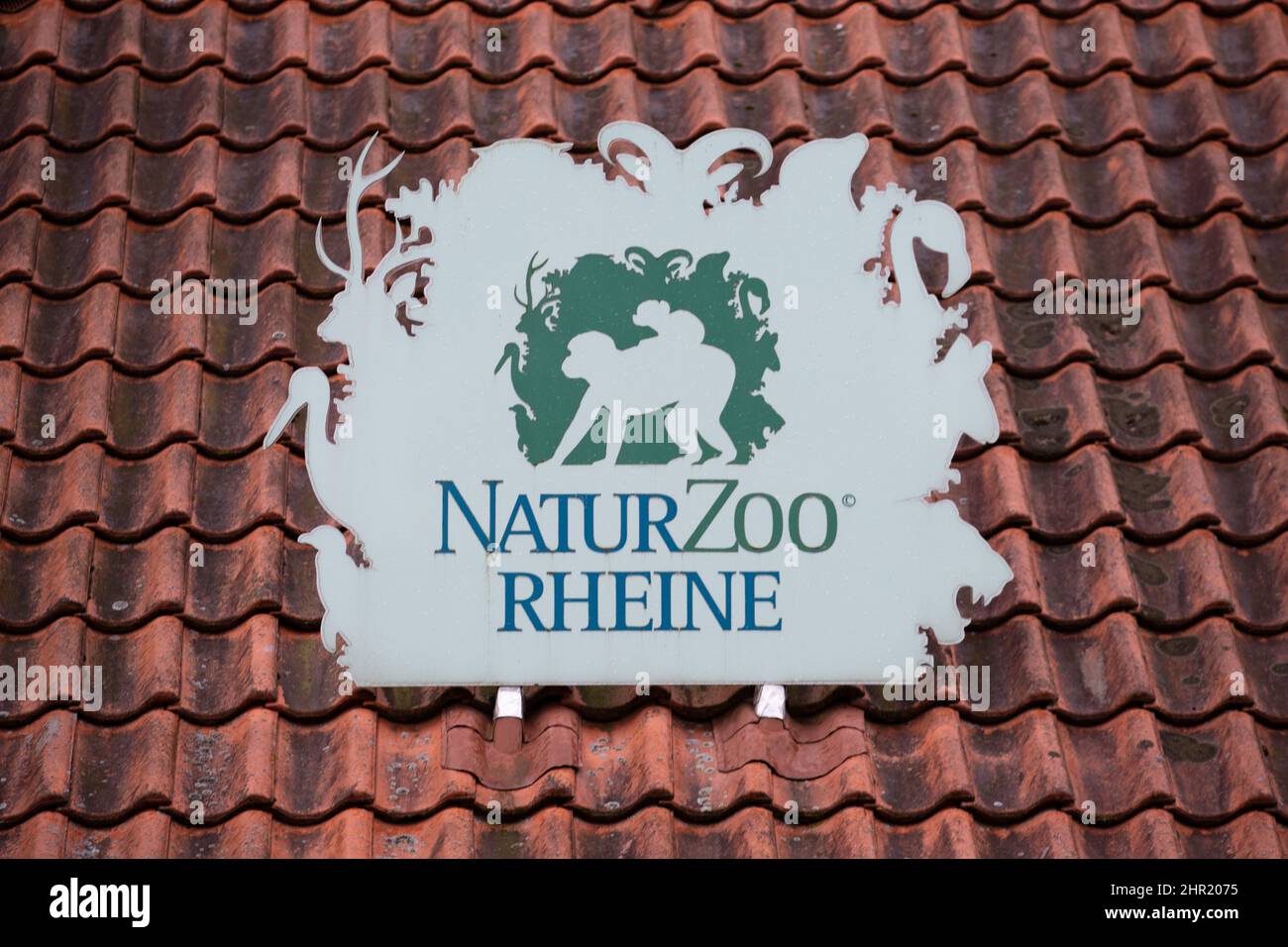 Rheine, Germania. 24th Feb 2022. 'NaturZoo Rheine' è scritto su un cartello di fronte allo zoo. Lo zoo ospita attualmente circa 1000 animali di un centinaio di specie diverse, tra cui la più grande colonia riproduttiva al mondo di babbuini abbrustoliti con sangue. Il programma europeo di allevamento per la conservazione (EEP), al quale partecipa lo zoo, mira a salvare questa specie di scimmie in pericolo. Credit: Friso Gentsch/dpa/Alamy Live News Foto Stock