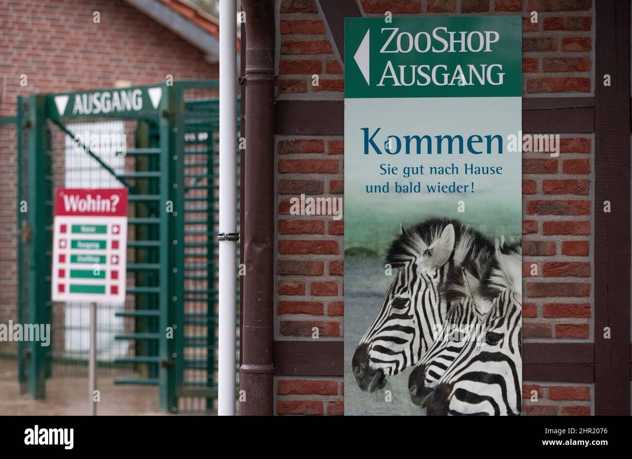 Rheine, Germania. 24th Feb 2022. 'ZooShop' è scritto su un cartello presso il NaturZoo Rheine. Lo zoo ospita attualmente circa 1.000 animali di un centinaio di specie diverse, tra cui la più grande colonia riproduttiva al mondo di babbuini abbrustoliti con sangue. Il programma europeo di allevamento per la conservazione (EEP), al quale partecipa lo zoo, mira a salvare questa specie di scimmie in pericolo. Credit: Friso Gentsch/dpa/Alamy Live News Foto Stock