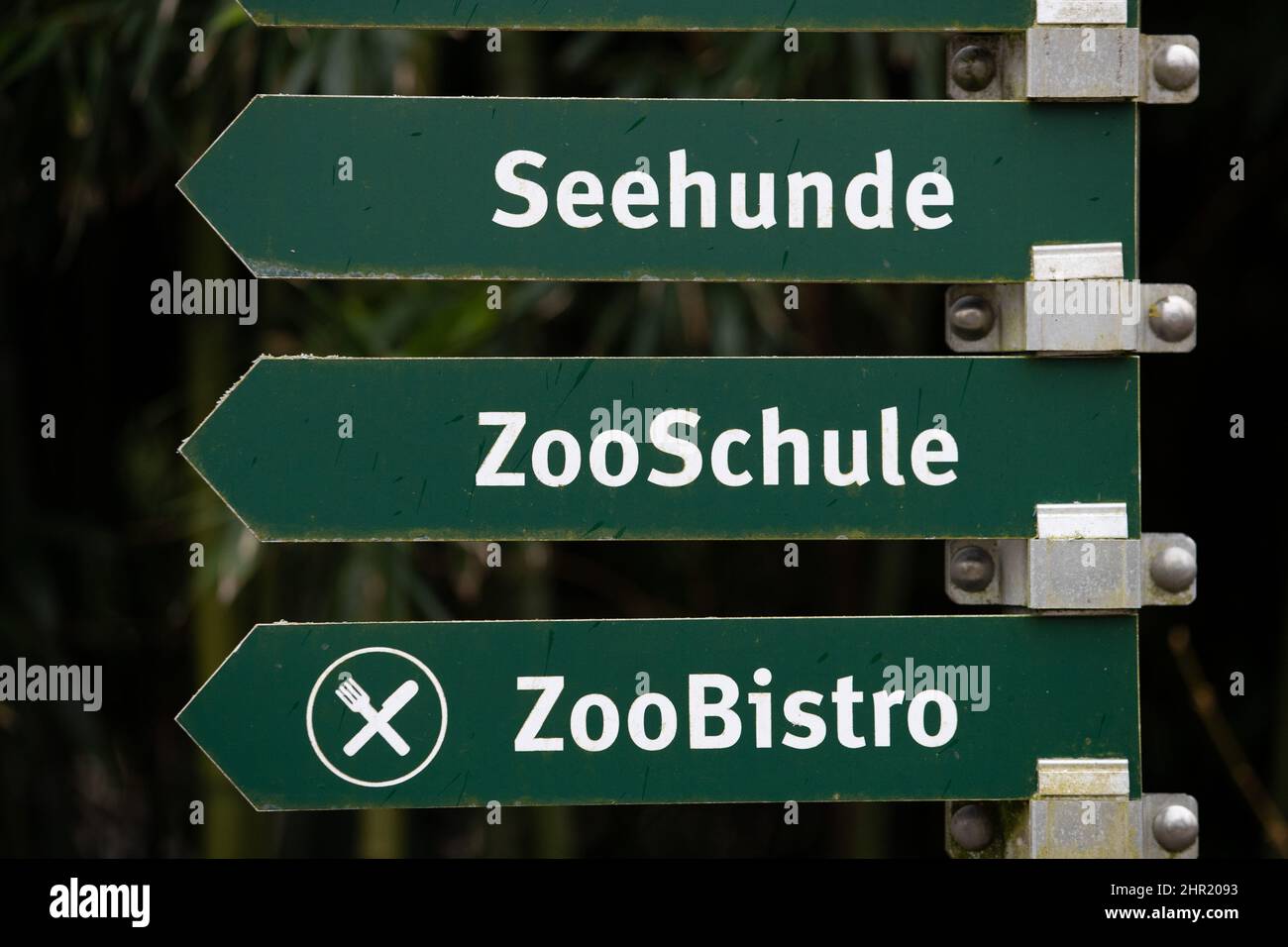 Rheine, Germania. 24th Feb 2022. 'Seals, ZooSchool e ZooBistro' è scritto su un cartello al NaturZoo Rheine. Lo zoo ospita attualmente circa 1.000 animali di un centinaio di specie diverse, tra cui la più grande colonia riproduttiva al mondo di babbuini abbrustoliti con sangue. Il programma europeo di allevamento per la conservazione (EEP), al quale partecipa lo zoo, mira a salvare questa specie di scimmie in pericolo. Credit: Friso Gentsch/dpa/Alamy Live News Foto Stock
