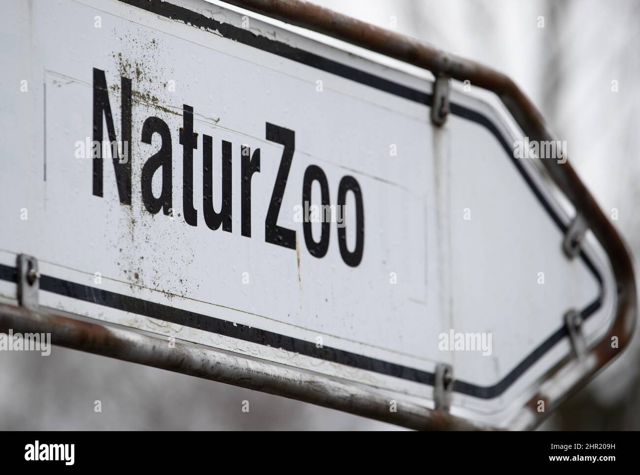 Rheine, Germania. 24th Feb 2022. 'NaturZoo' è scritto su un cartello di fronte allo zoo. Lo zoo ospita attualmente circa 1000 animali di un centinaio di specie diverse, tra cui la più grande colonia riproduttiva al mondo di babbuini abbrustoliti con sangue. Il programma europeo di allevamento per la conservazione (EEP), al quale partecipa lo zoo, mira a salvare questa specie di scimmie in pericolo. Credit: Friso Gentsch/dpa/Alamy Live News Foto Stock