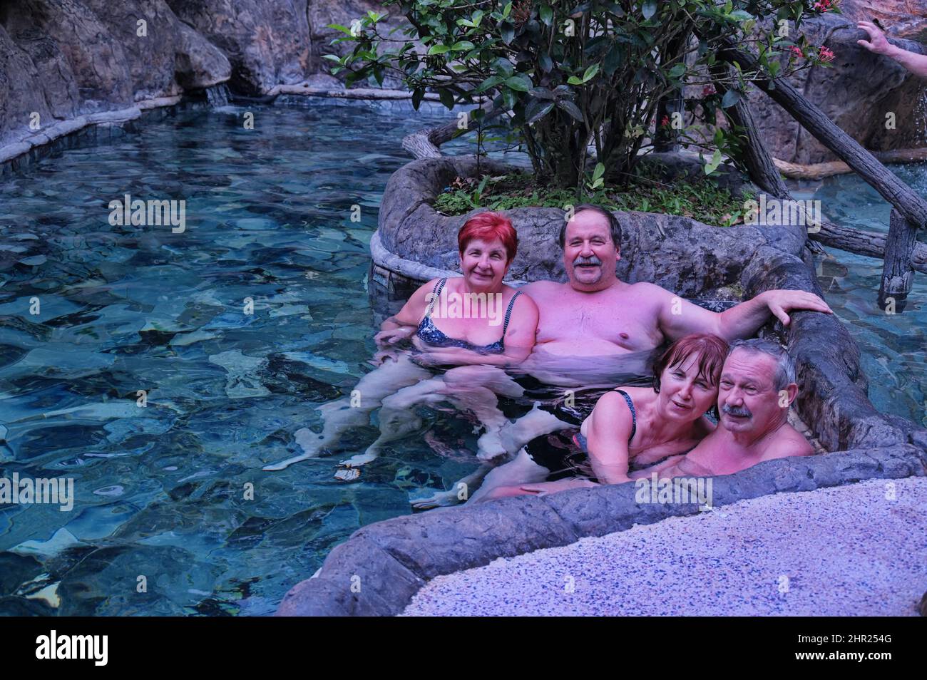 Due coppie anziane che si divertano in piscina Foto Stock