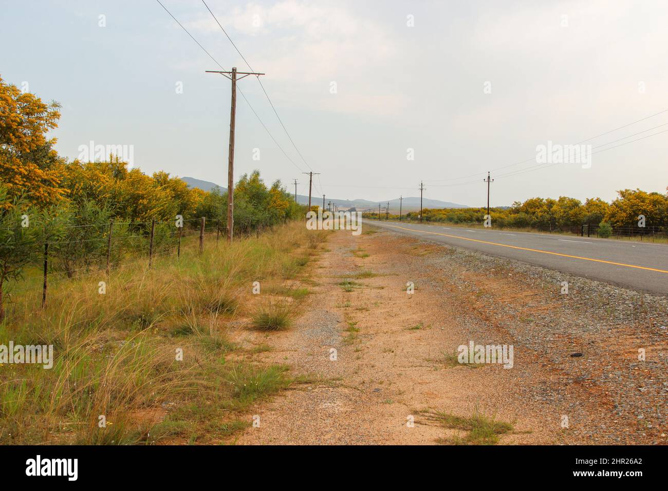 Strada fossato con Powerline tra Malmesbury e Darling nel Capo Occidentale del Sud Africa Foto Stock