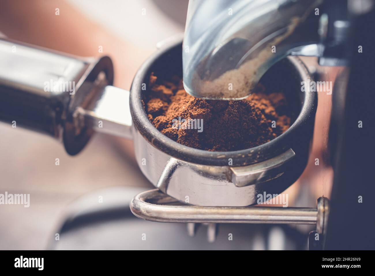Versare il caffè macinato dalla macinacaffè nel portafiltro, closeup Foto Stock
