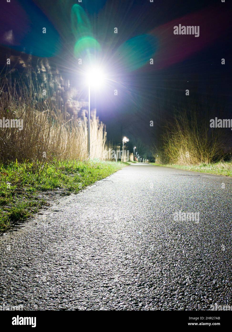 Foto Lowangle di un percorso ciclistico vuoto di notte con un lampione con un sacco di lensflare che splita su di esso Foto Stock