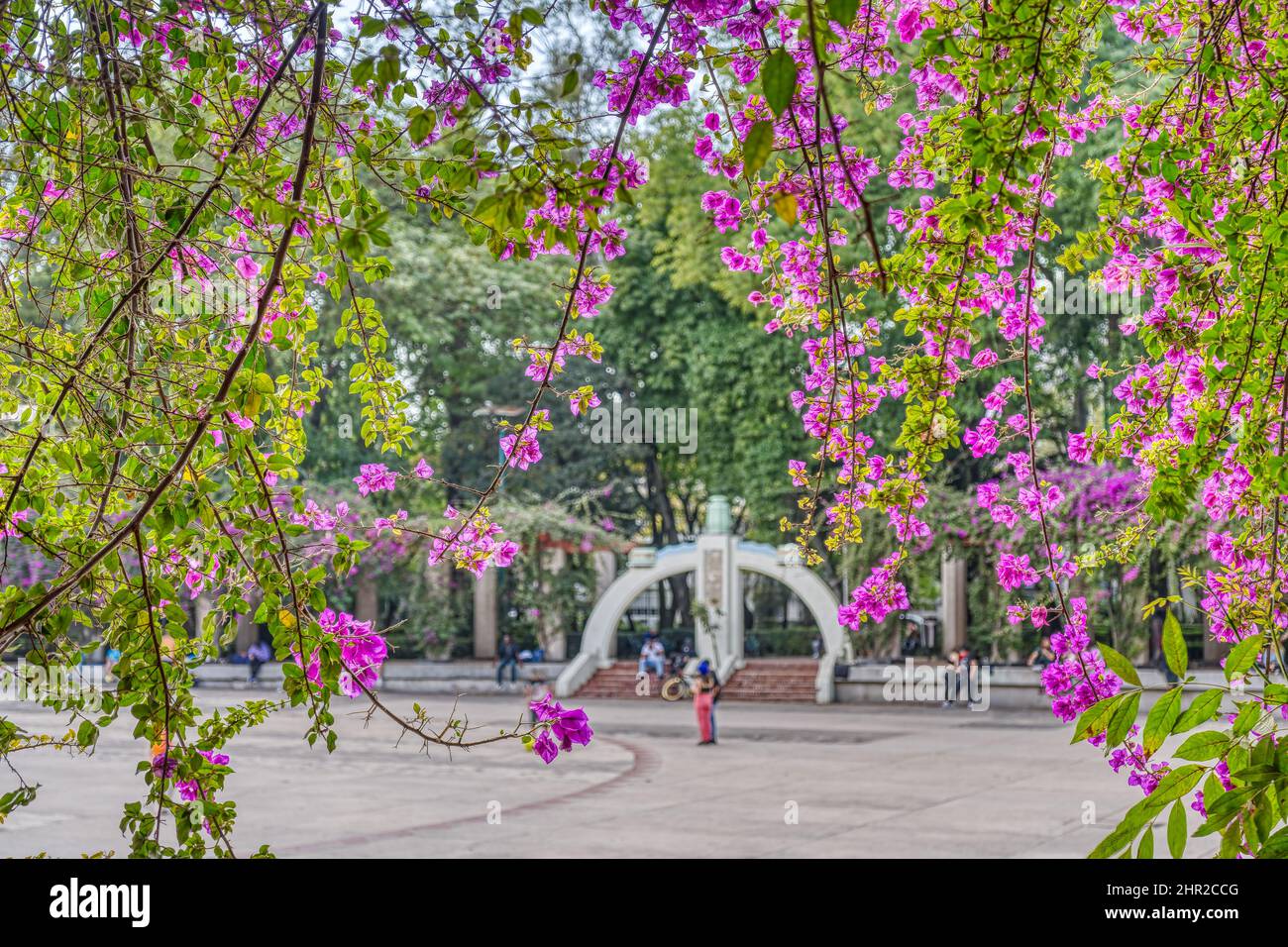 Colonia Condesa, Messico Foto Stock