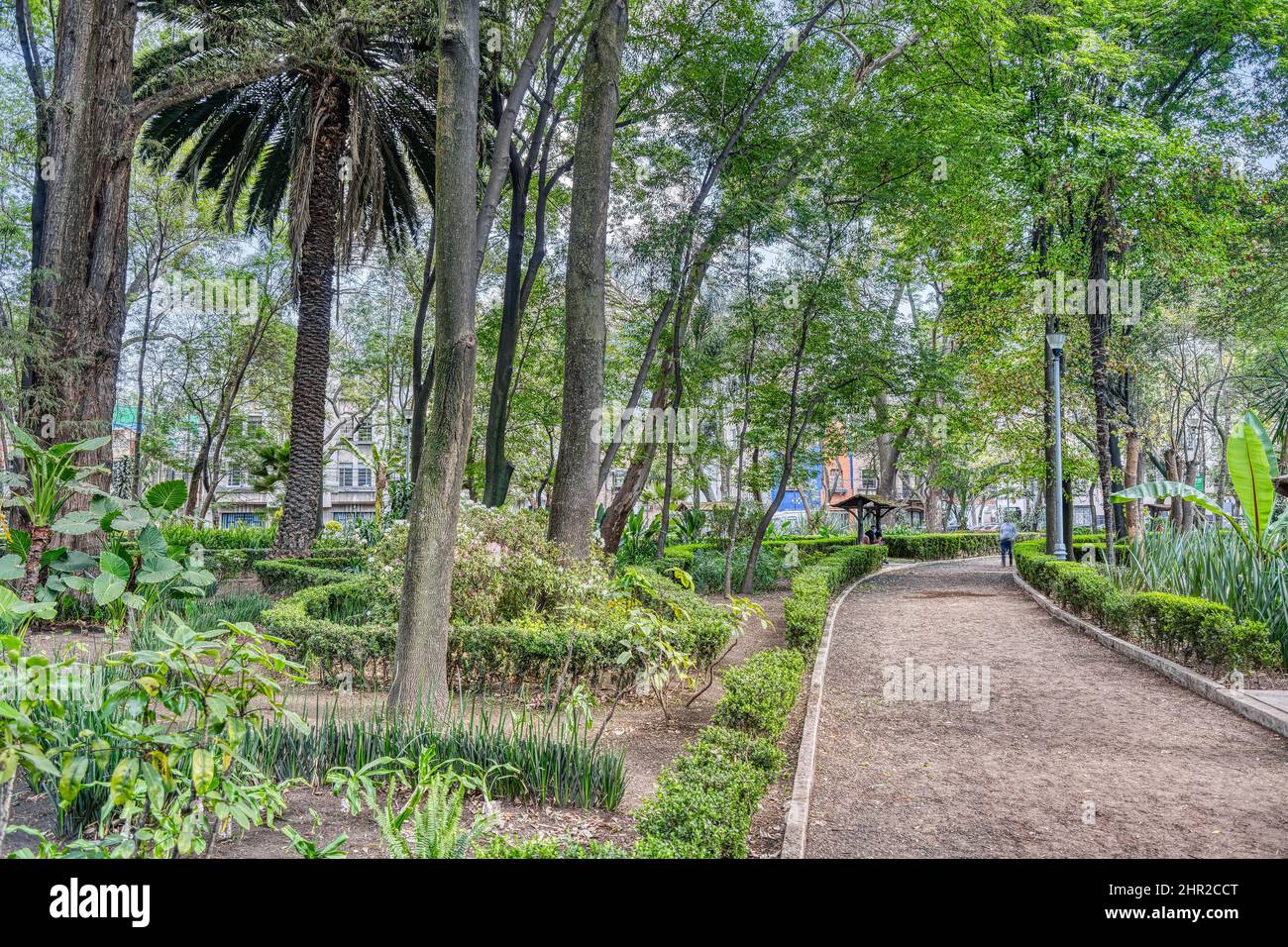 Colonia Condesa, Messico Foto Stock