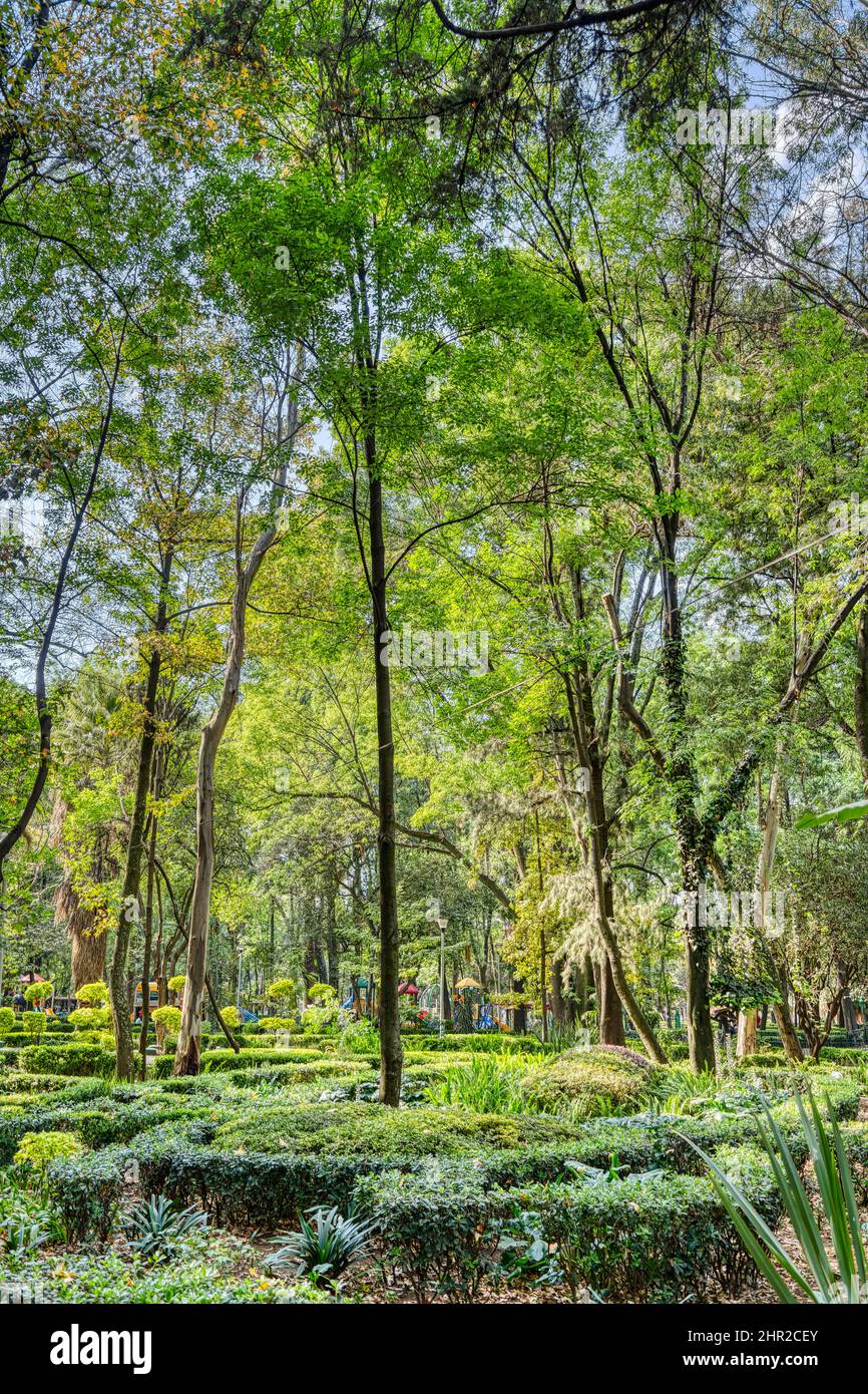 Colonia Condesa, Messico Foto Stock