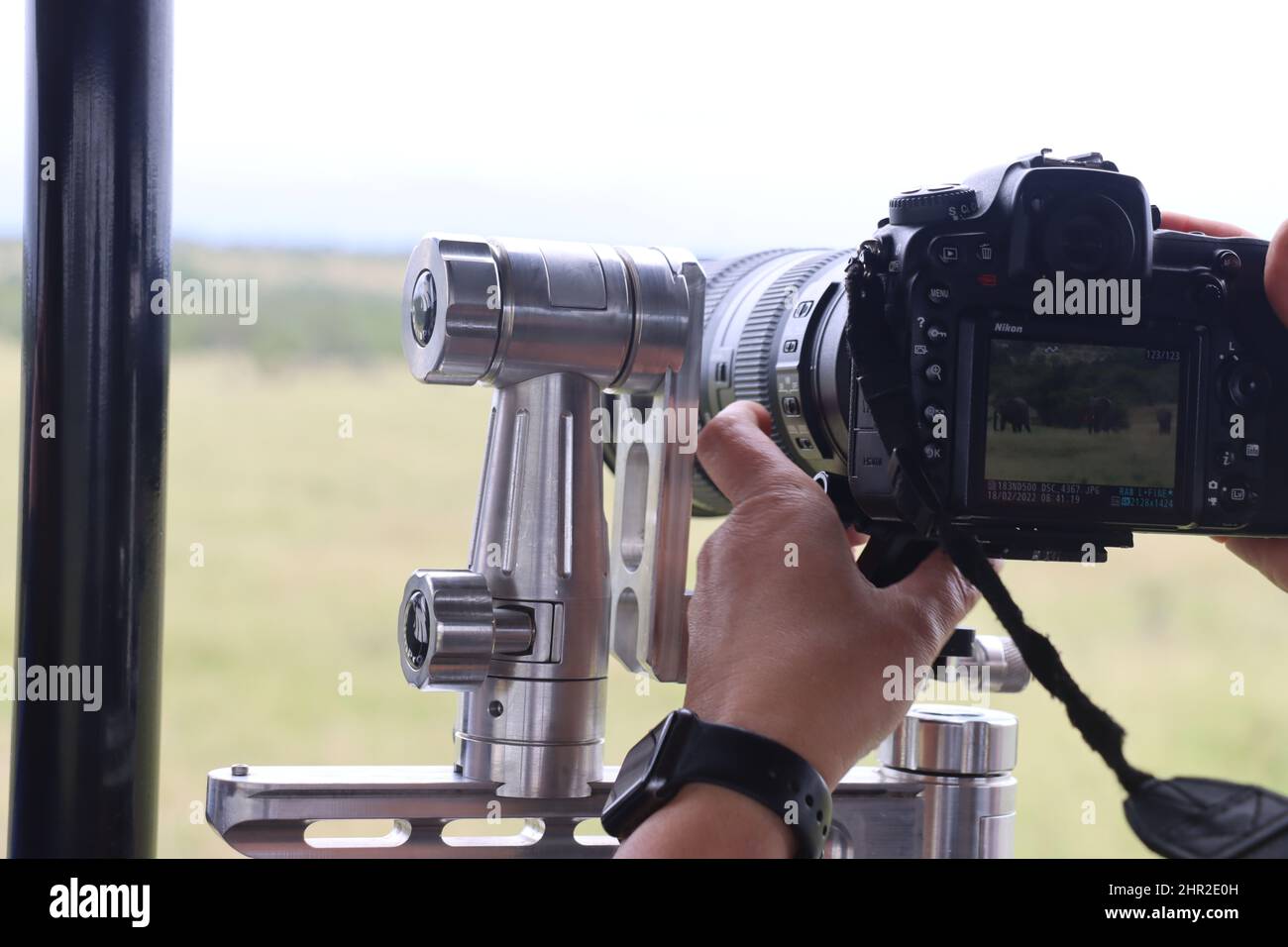 treppiede gimbal Foto Stock