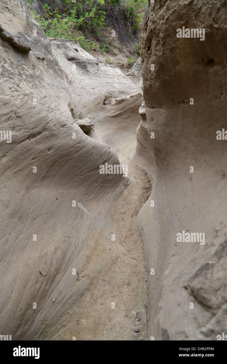 Le strette mura del sentiero Los Hoyos nel deserto grigio di Tatacoa, Colombia Foto Stock