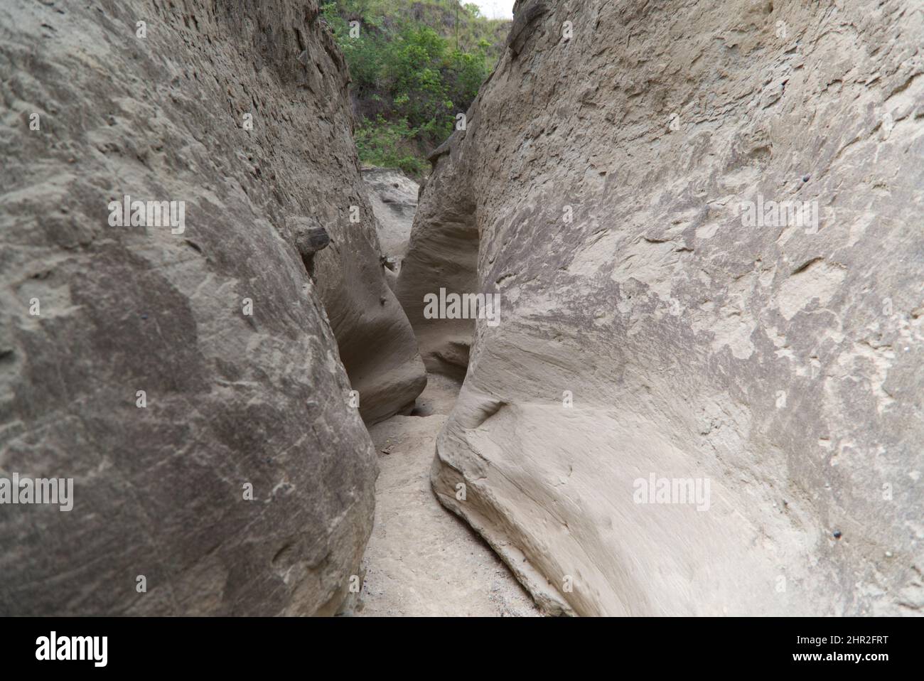Le strette mura del sentiero Los Hoyos nel deserto grigio di Tatacoa, Colombia Foto Stock