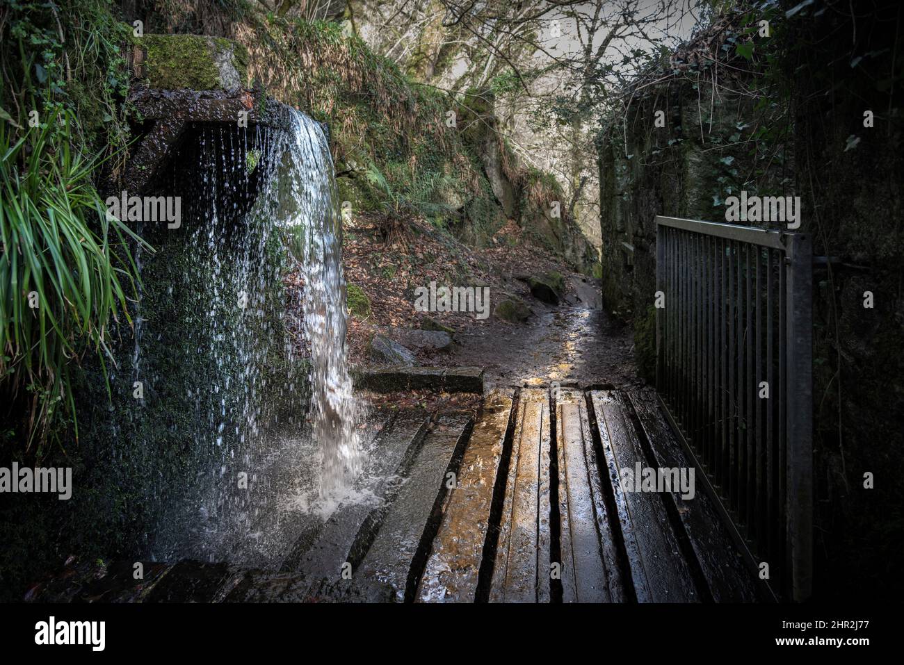 Acqua che si tuffa su un sentiero accidentato nei resti degli edifici utilizzati per la produzione di polvere da sparo nella storica riserva naturale di Kennall vale Foto Stock