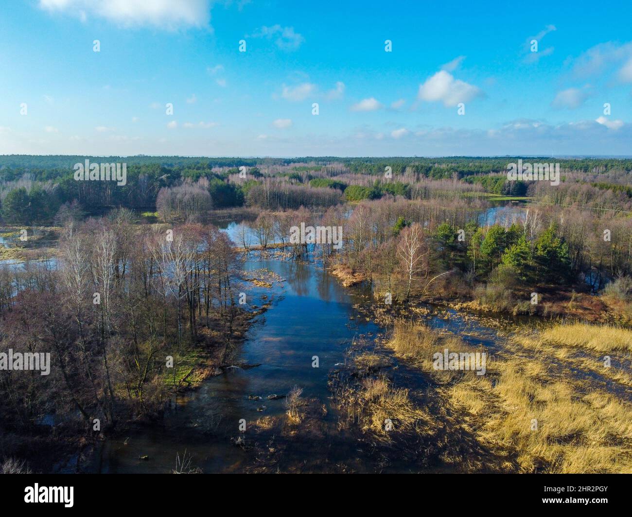 Il fiume Grabia con alto livello d'acqua nella Polonia centrale. Foto Stock