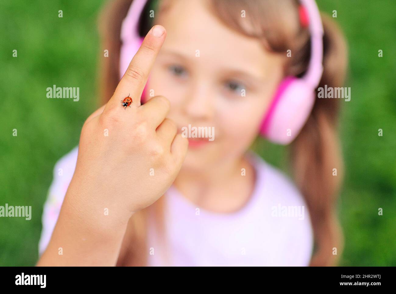 Baby ladybug immagini e fotografie stock ad alta risoluzione - Alamy