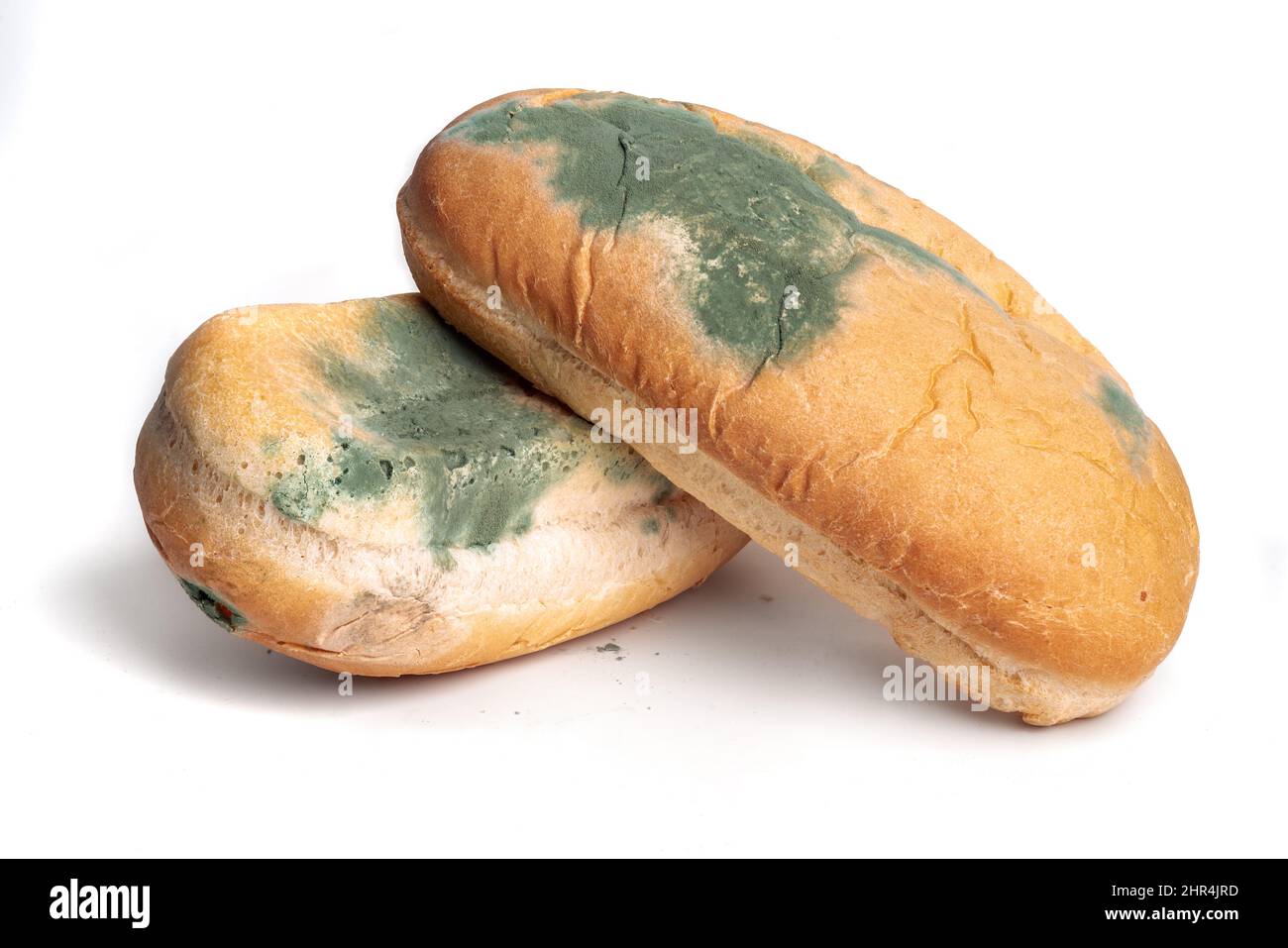 La vecchia muffa sul grano caldo-cane pane due pezzi. Cibo veloce guastato. Muffa su cibo isolato sfondo bianco Foto Stock