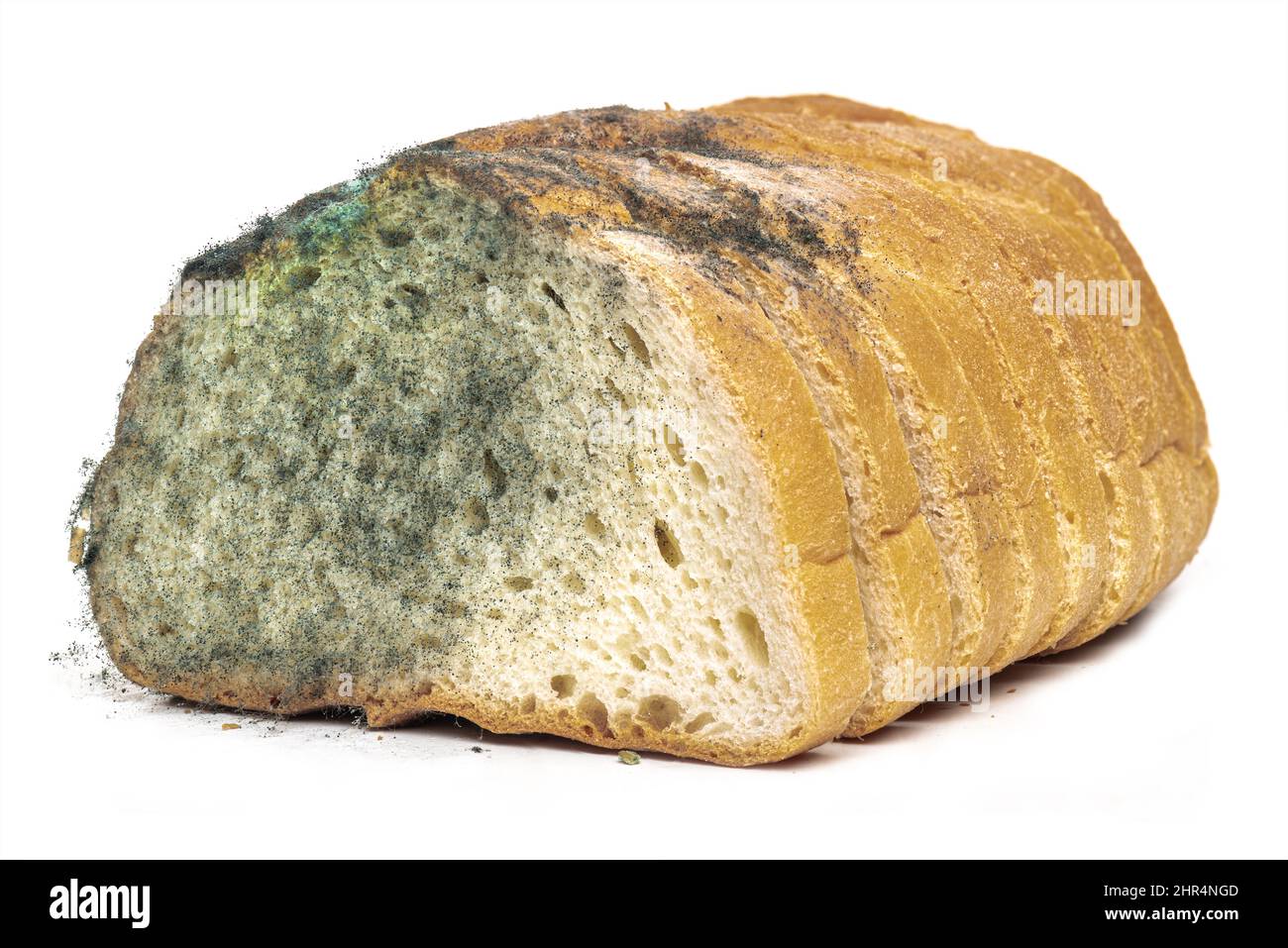 Il vecchio forgi sul pane di grano lungo affettato pane. Cibo guastato. Muffa su fondo bianco del cibo Foto Stock