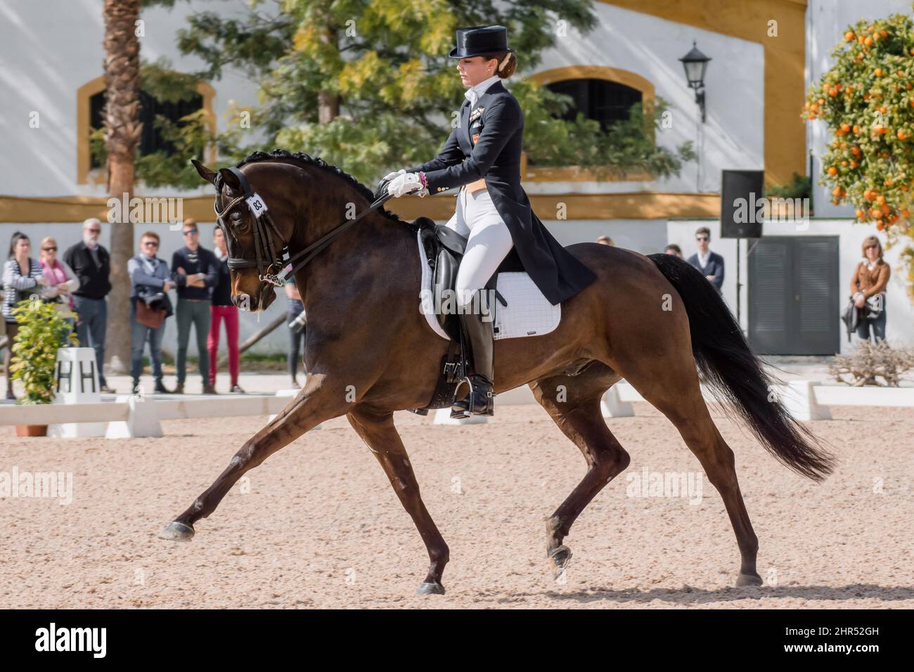 Scuola reale Andalusa di Arte Equestre, Jerez de la Frontera, Spagna. 21st febbraio 2015. Carmen Naesgaard (ESP) in sella a Ricardo (HAN) Foto Stock