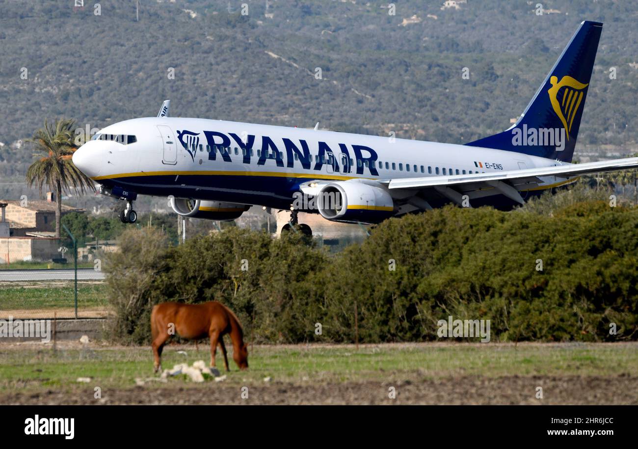 Aereo della compagnia Ryanair che atterra all'aeroporto di Palma di Maiorca Foto Stock