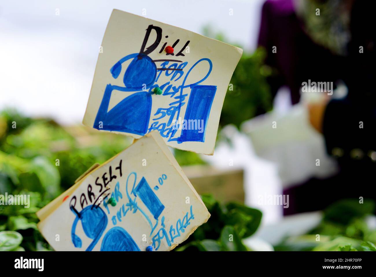 Promozione delle erbe Foto Stock