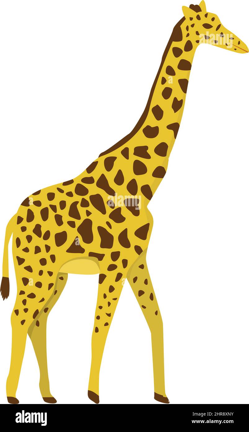 Giraffa africana in stile piatto isolato su sfondo bianco Illustrazione Vettoriale
