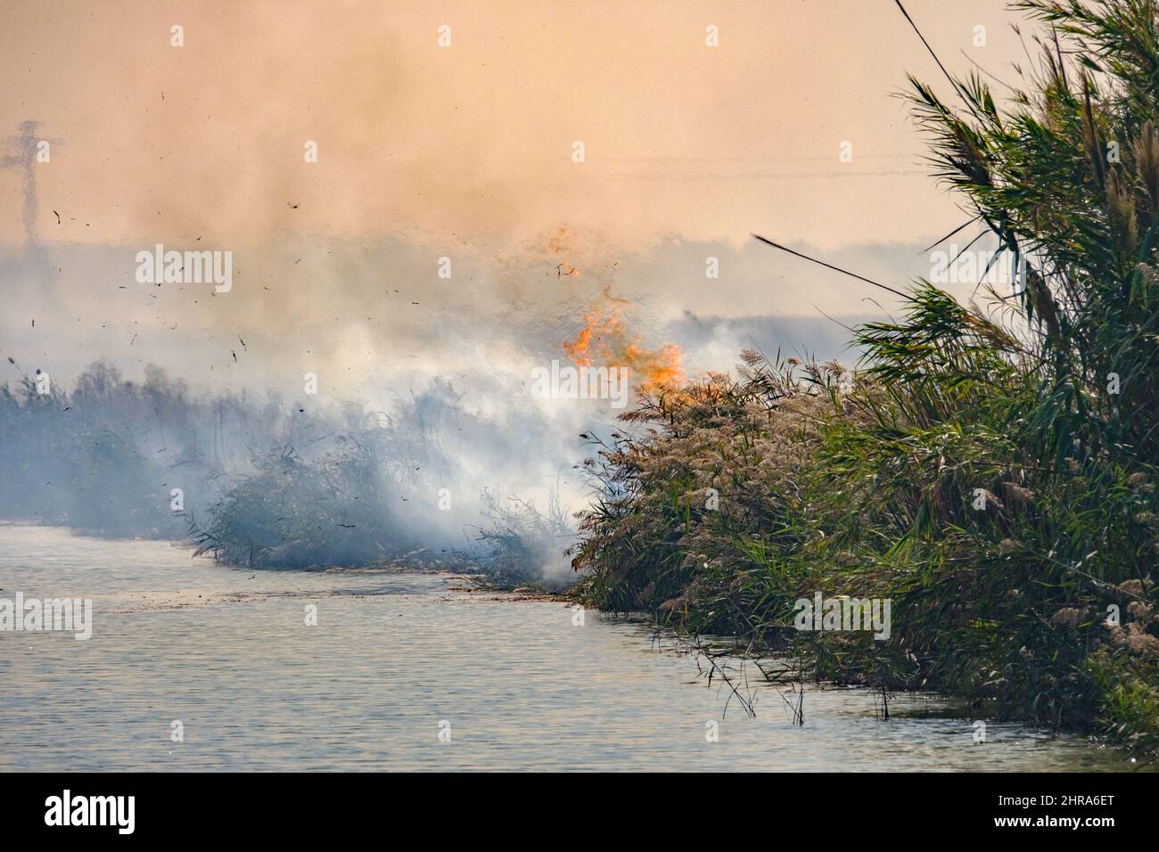 Bruciare la paglia di coltivatori di riso ad Albufera de Valencia Spagna, bruciare il riso stoppie inquinamento ambientale problema fumo Foto Stock