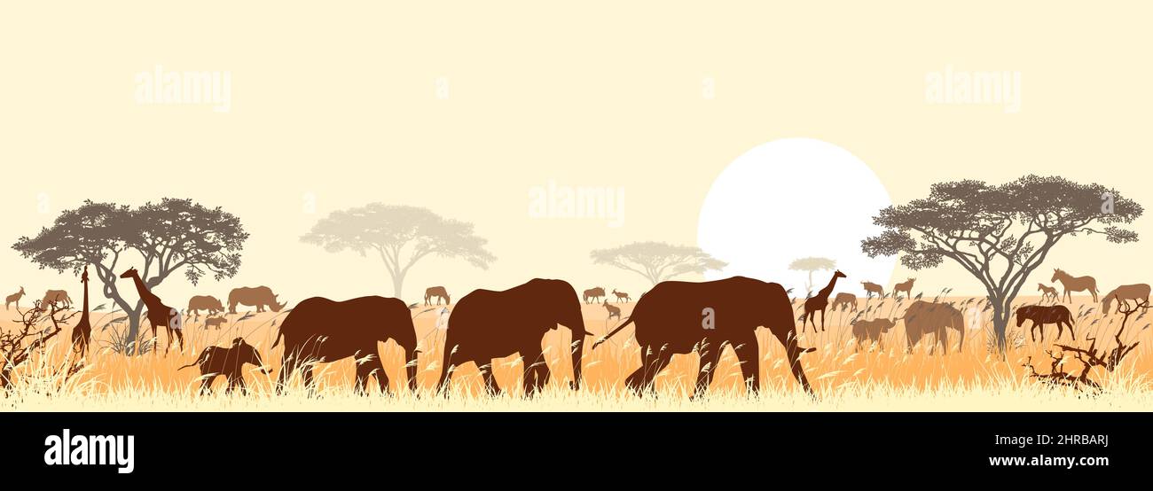 Sagome di animali selvatici della savana africana, sullo sfondo di alberi e il sole. Illustrazione Vettoriale