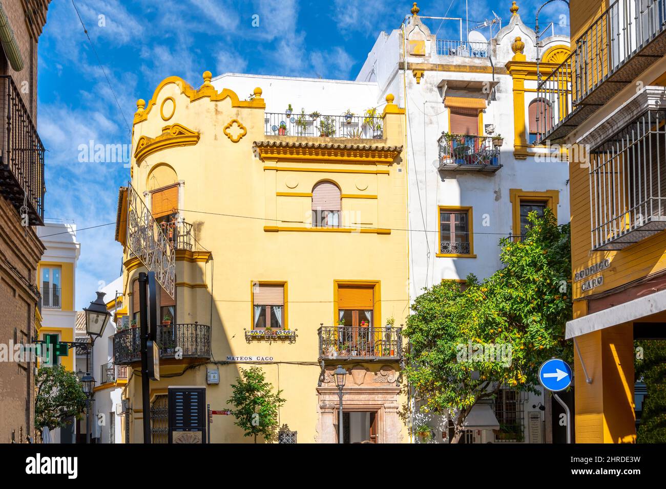 Tipico colore andaluso e architettura su edifici residenziali e commerciali nel colorato quartiere Barrio Santa Cruz di Siviglia, Spagna. Foto Stock