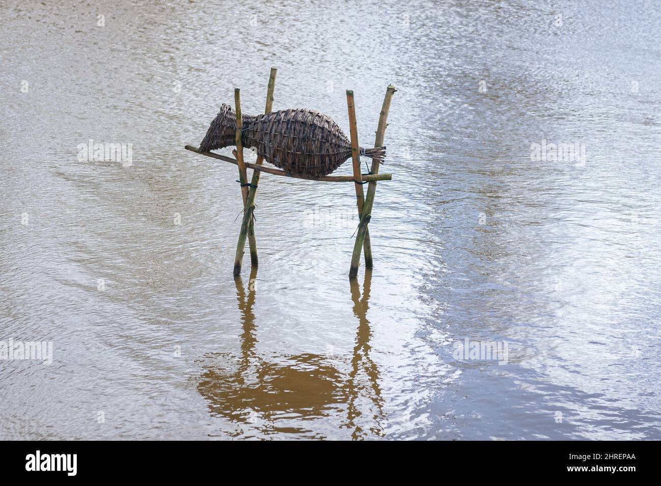 L'uomo ha fatto nido intrecciato per gli uccelli acquatici per riprodursi Foto Stock