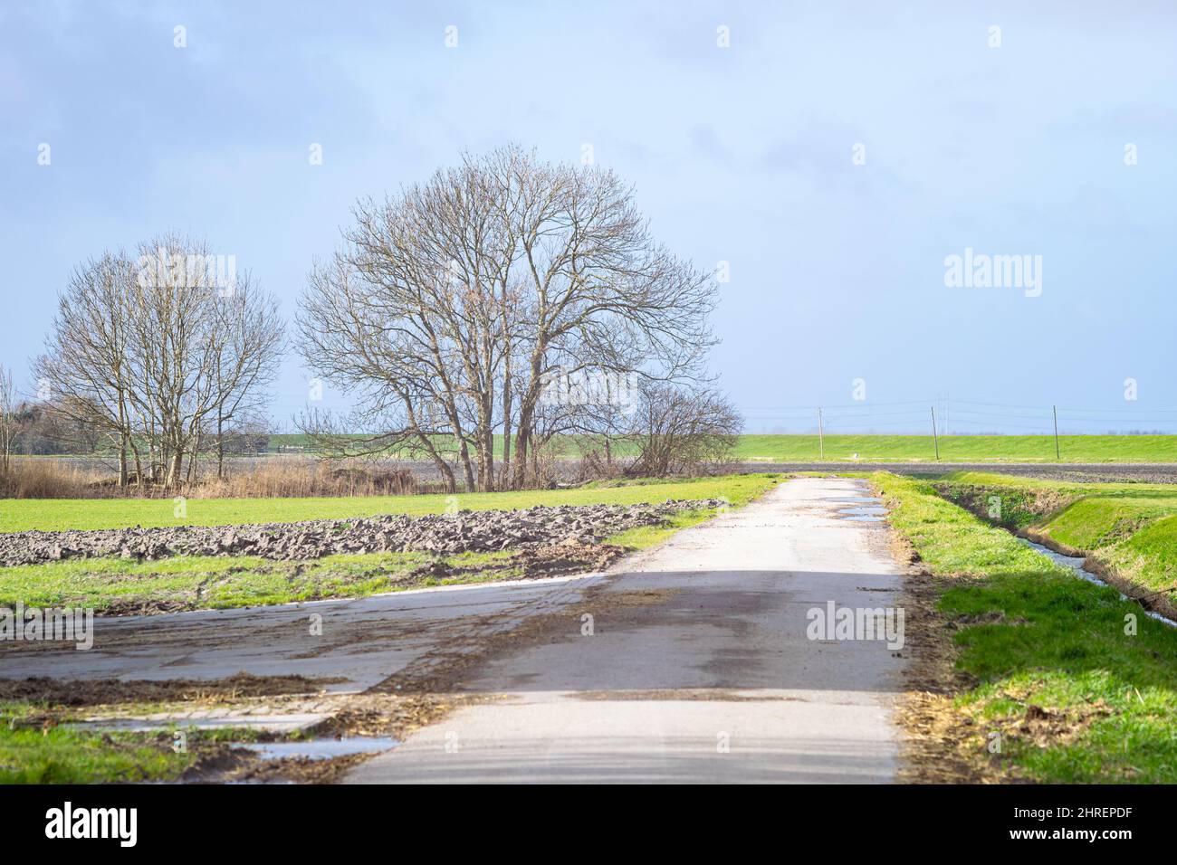 Vista panoramica di una strada senza uscita nella campagna olandese. Concentrarsi sullo sfondo. Foto Stock