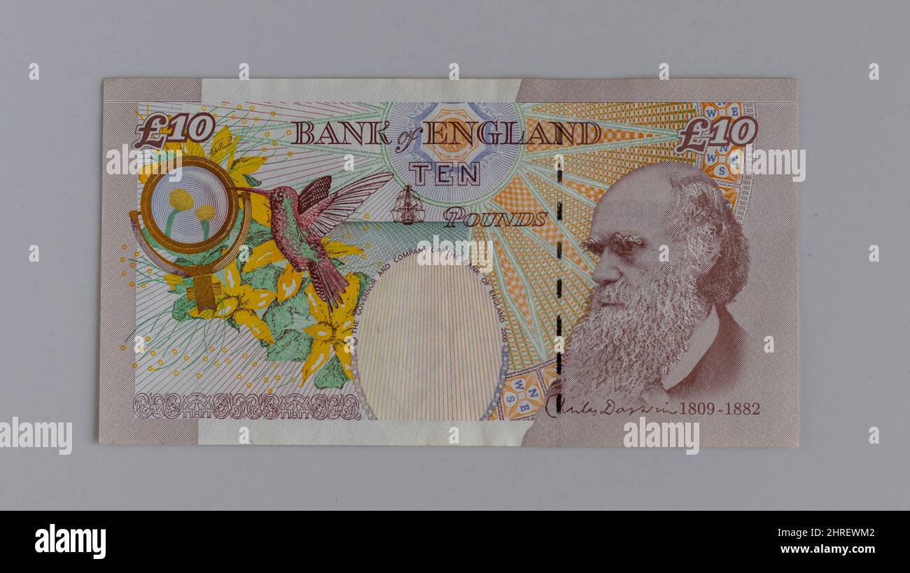 Banconota da 10 libbre di Gran Bretagna con immagine di Charles Darwin sul retro Foto Stock