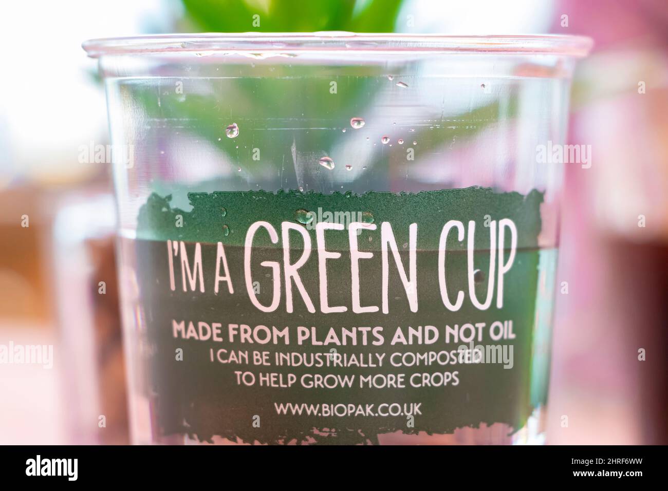 messaggio sul vetro verde sostenibile in plastica tazza da bere fatto da piante non olio in primo piano Foto Stock