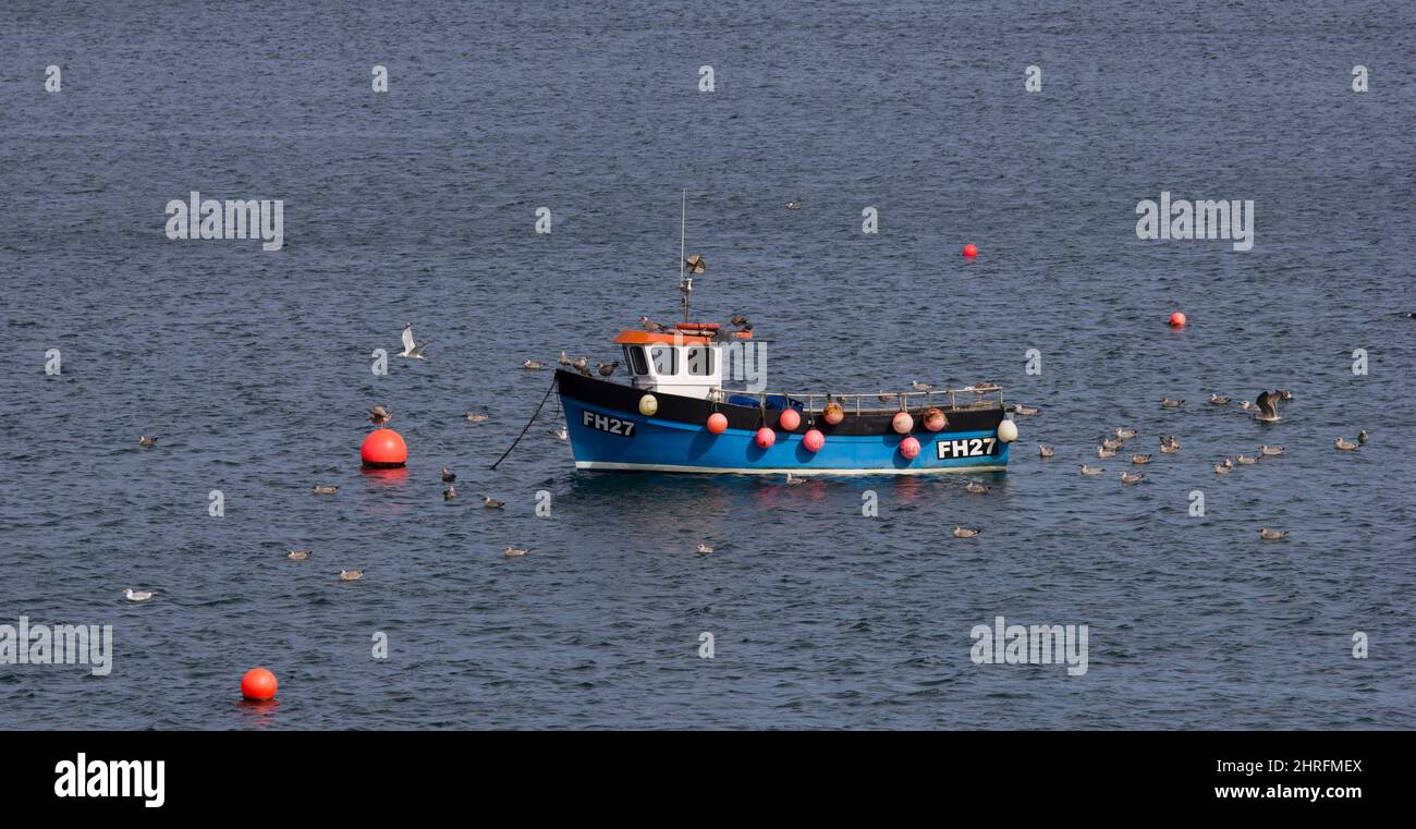 La barca da pesca numero registrato FH27 ormeggiata a Coverack Bay, Lizard Peninsula, Cornovaglia. Gabbie del paziente in attesa di eventuali scarti. Foto Stock