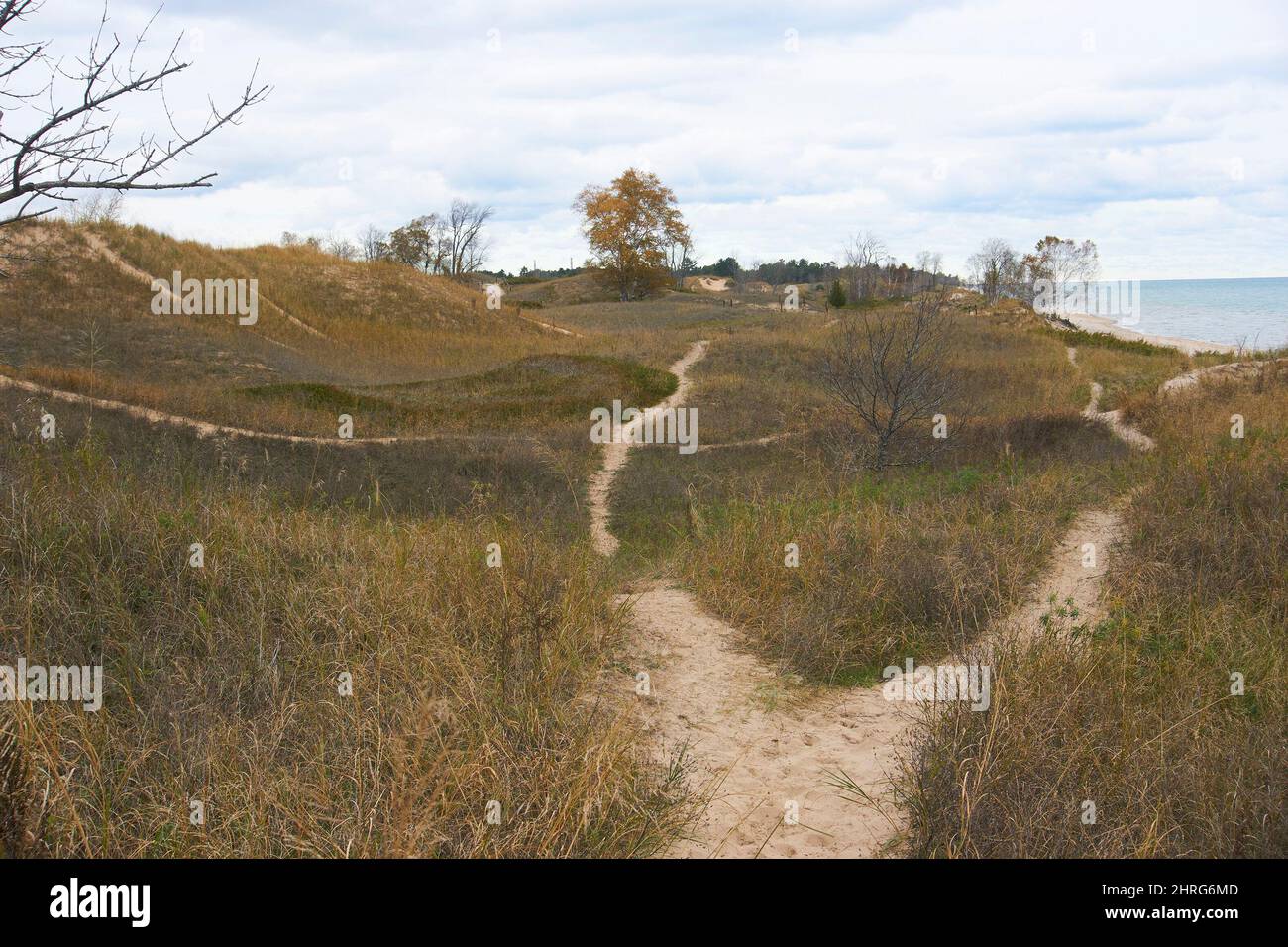 Kohler Andrae state Park a fine autunno, Sheboygan, Wisconsin, USA. Foto Stock