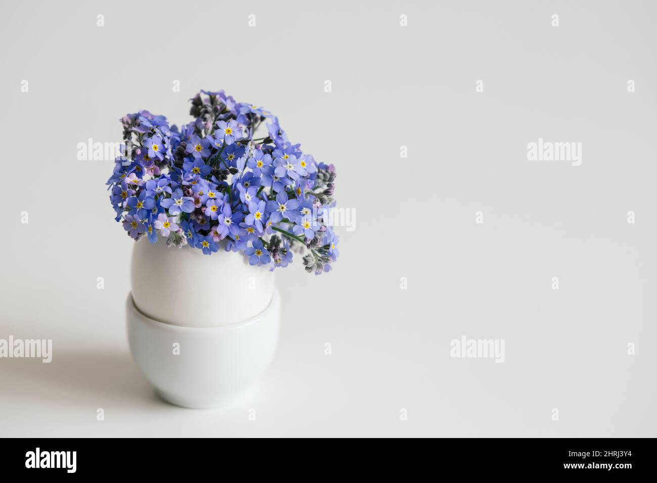 Bouquet di fiori blu scordatemi in un uovo incrinato su sfondo bianco. Concetto minimo di Pasqua. Spazio di copia. Foto Stock