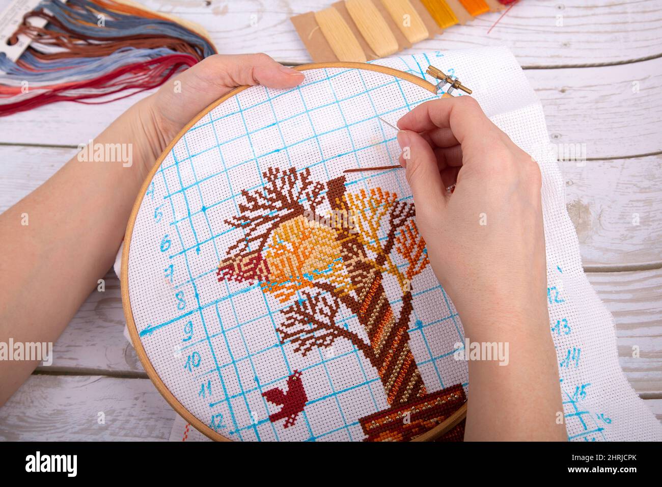 la ragazza sulla tela ricami con fili di lana e un ago multicolore uccelli  e un albero con una croce Foto stock - Alamy