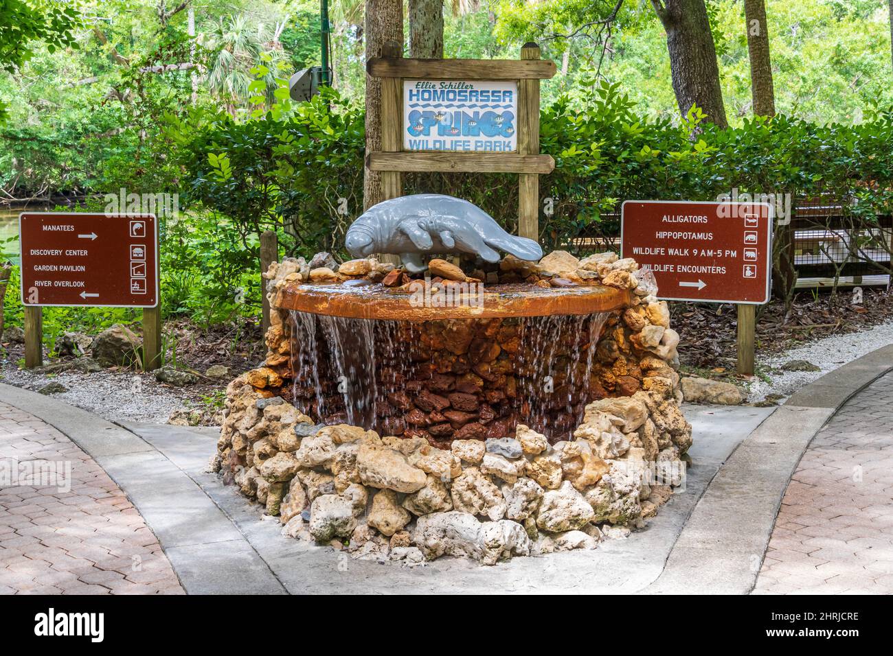 Statua Manatee e fontana vicino all'ingresso del Parco Nazionale Ellie Schiller Homosassa Springs Wildlife - Homosassa, Florida, USA Foto Stock