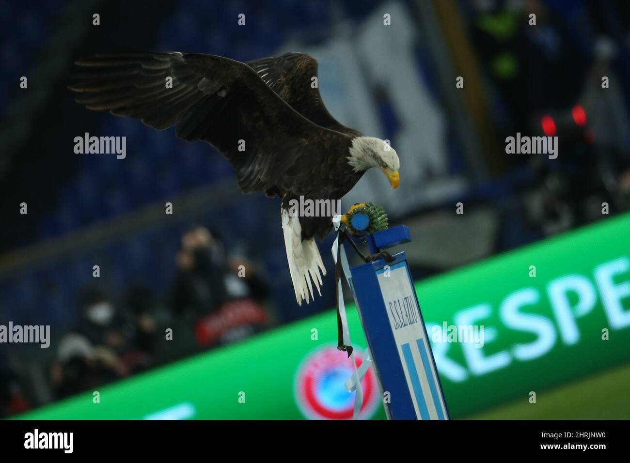 Roma, Italia. 24th Feb 2022. Olimpia la mascotte delle aquile del Lazio prima dei play-off del round di Knockout dell'Europa League partita tra SS Lazio vs Futebol Clube do Porto allo Stadio Olimpico il 24 febbraio 2022 a Roma. (Foto di Giuseppe fama/Pacific Press/Sipa USA) Credit: Sipa USA/Alamy Live News Foto Stock