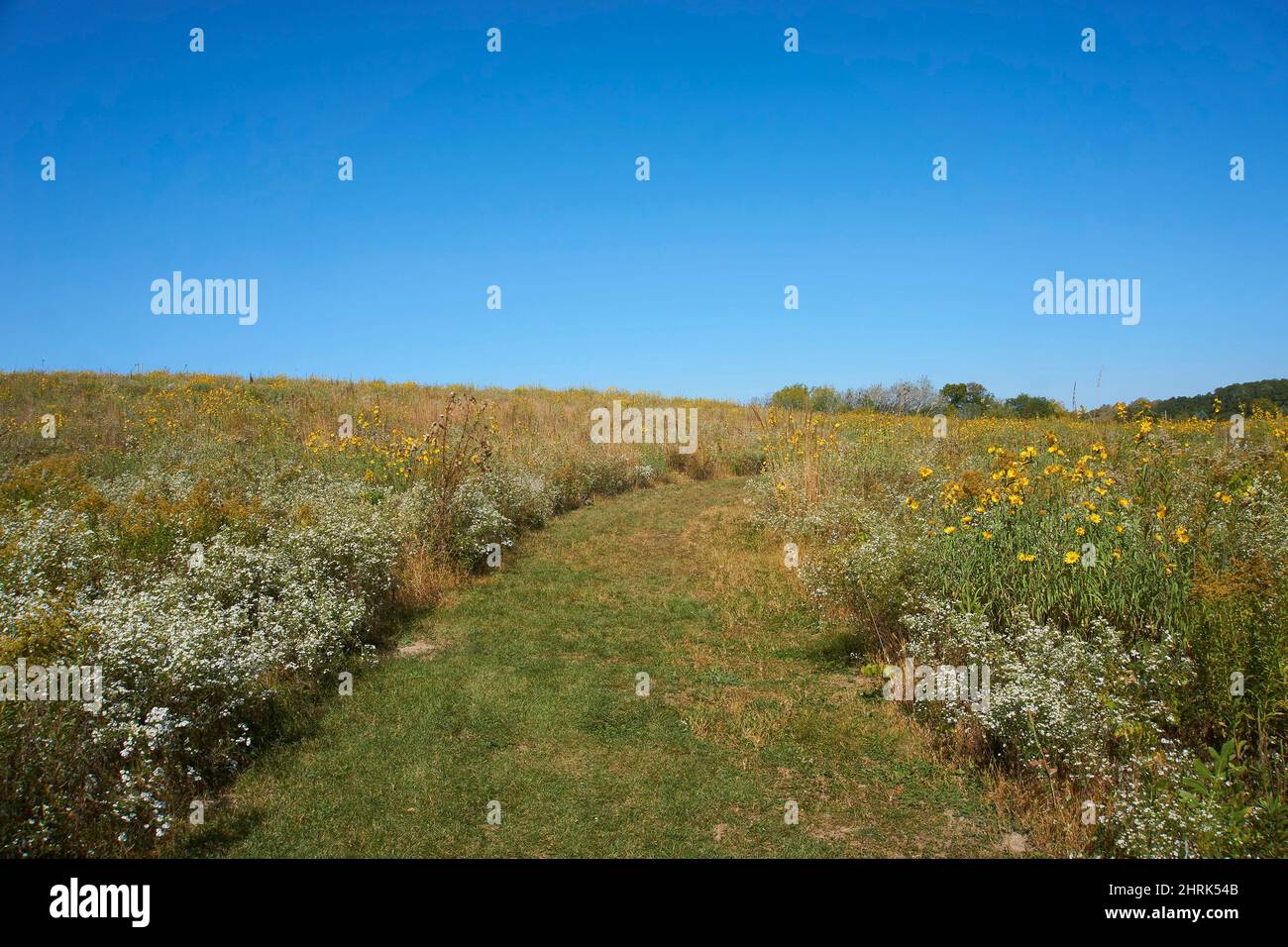Sentieri escursionistici nella zona di Kettle Moraine del Wisconsin, Stati Uniti. Foto Stock