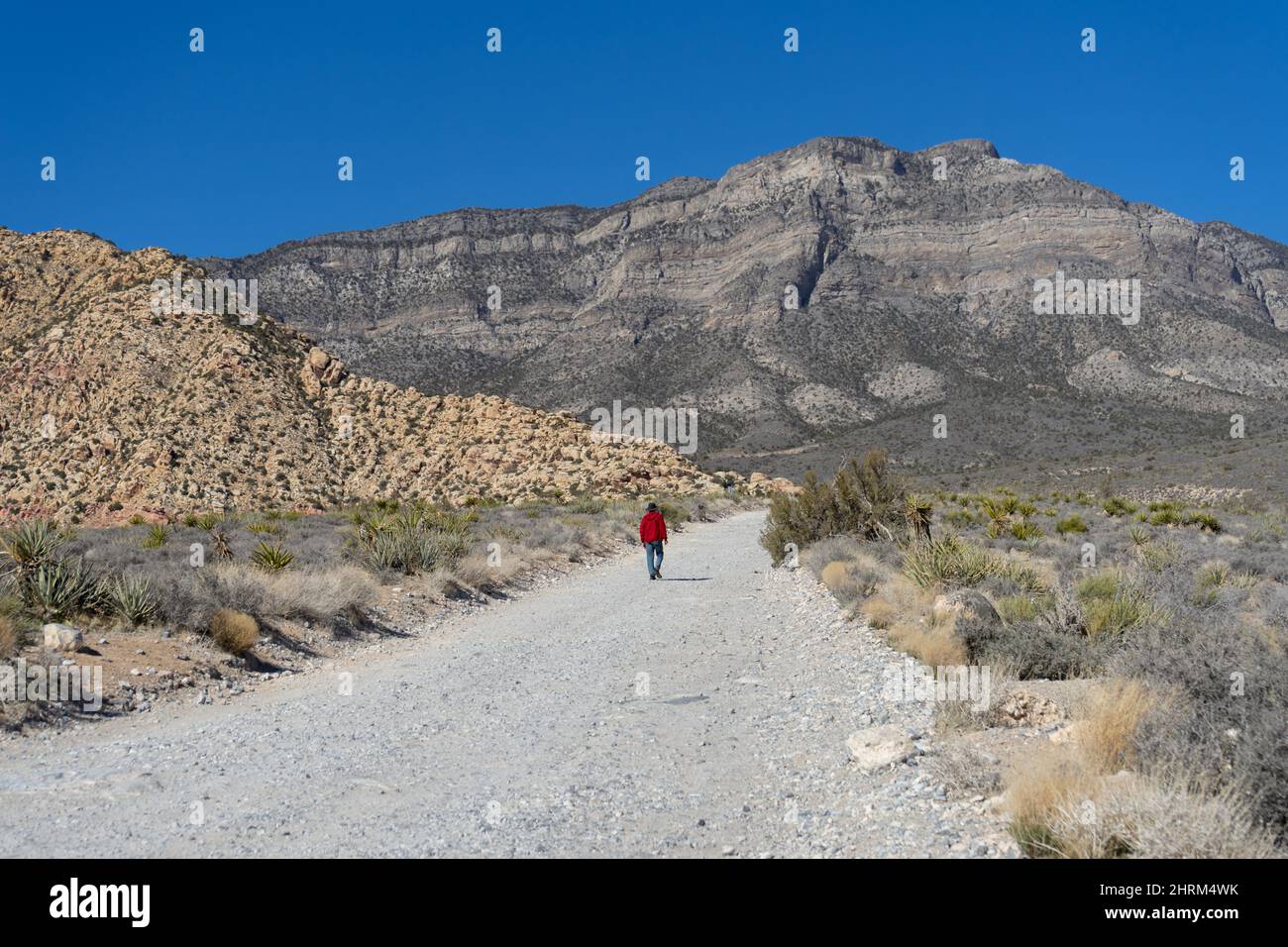 Una persona solitaria che cammina su una strada sterrata del deserto nel Nevada meridionale Foto Stock