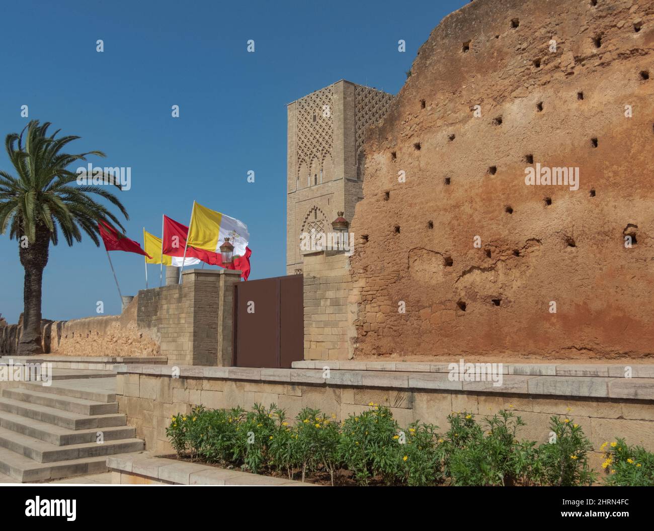 Muro del palazzo con bandiere e una palma Foto Stock