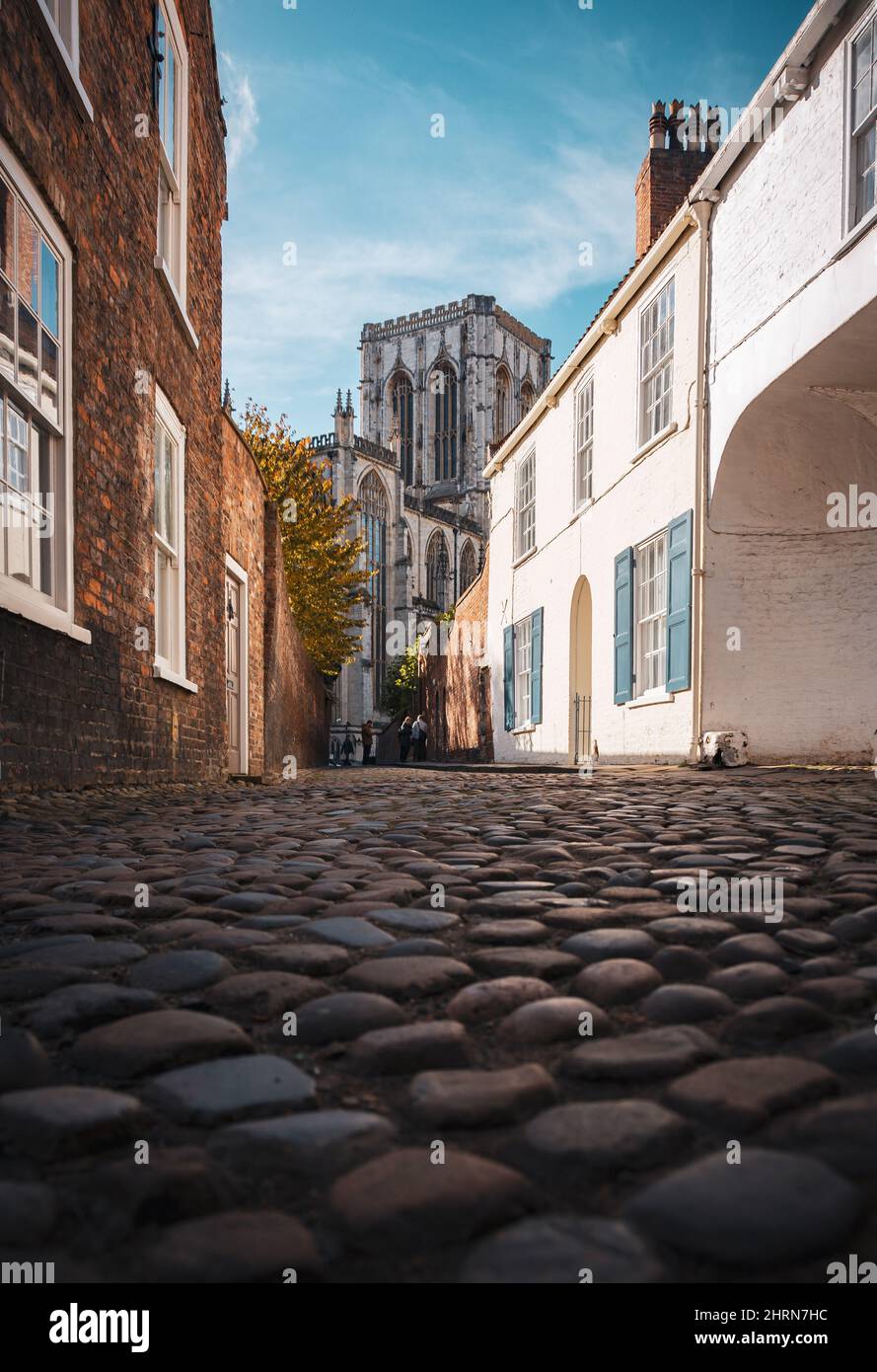 Vista sulla York Minster da Chapter House Street, ripresa bassa con i ciottoli. Foto Stock