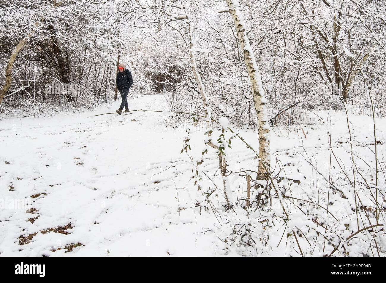 Una passeggiata invernale Foto Stock
