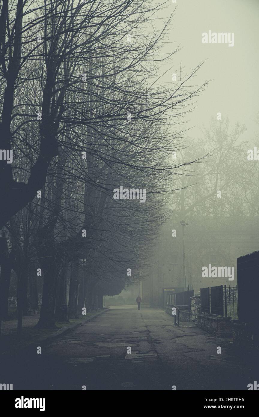 Primo piano di via terni di Cesare Battisti e camera di commercio con nebbia Foto Stock