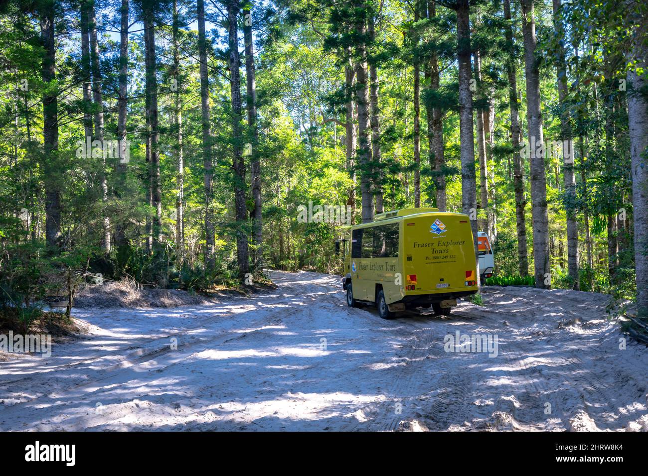 Fraser Island, QLD, Australia - Fraser Explorer Tours bus Foto Stock