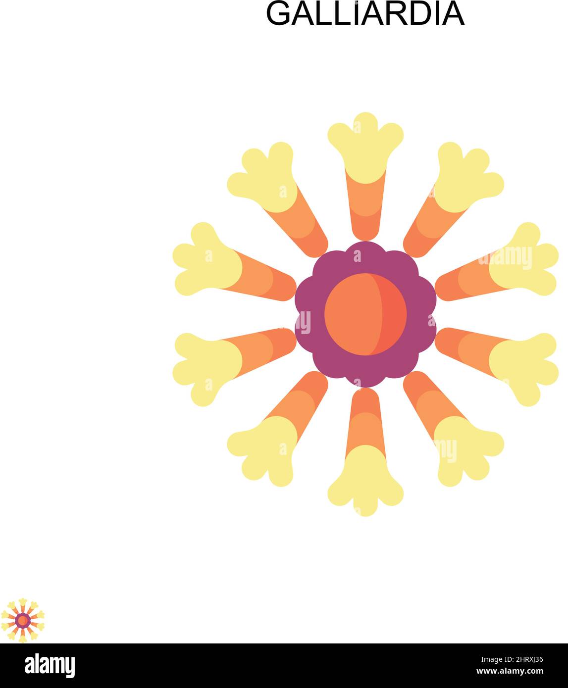 Galliardia semplice icona vettoriale. Modello di disegno del simbolo di illustrazione per l'elemento dell'interfaccia utente mobile Web. Illustrazione Vettoriale