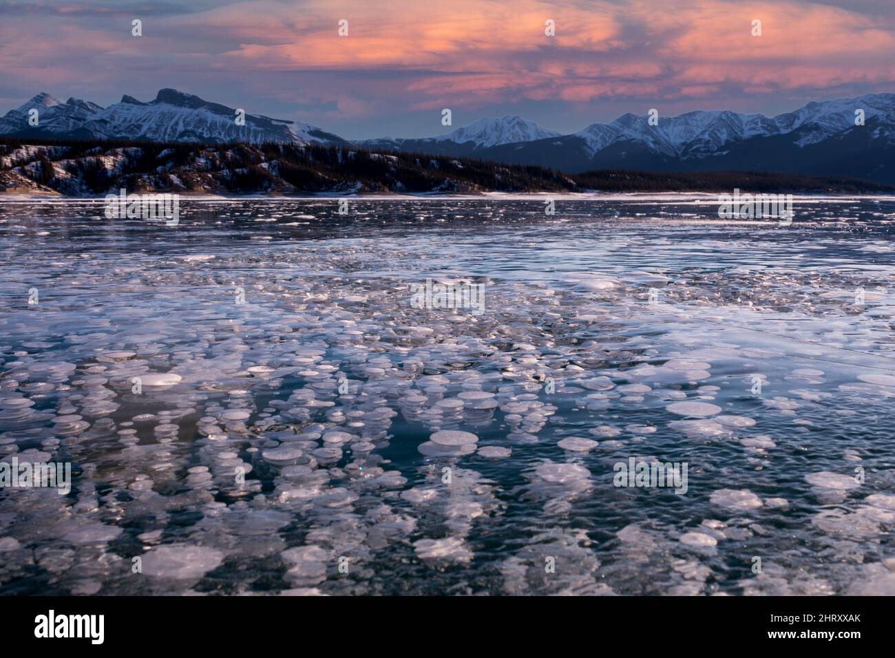 Gas bolle di metano Abraham Lake Alberta Canada Foto Stock